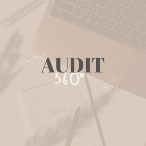 AUDIT 360 + contre visite