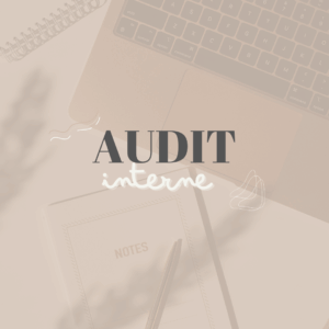 AUDIT 360