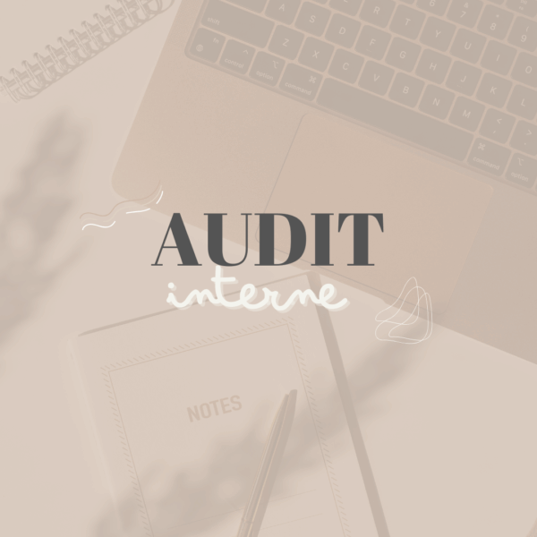 AUDIT 360